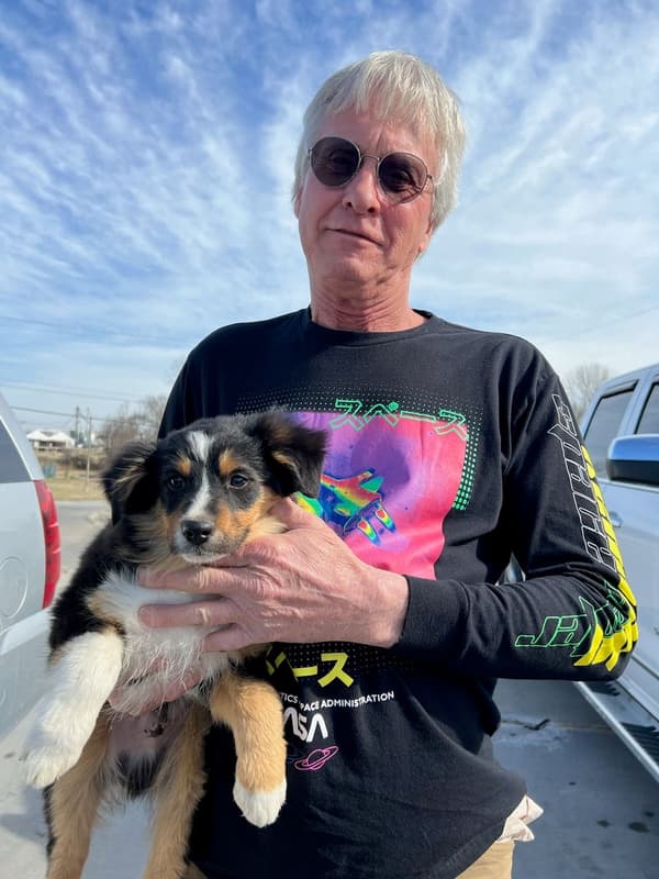 Customer photo of Miniature American Shepherd puppy from Ronald W.
