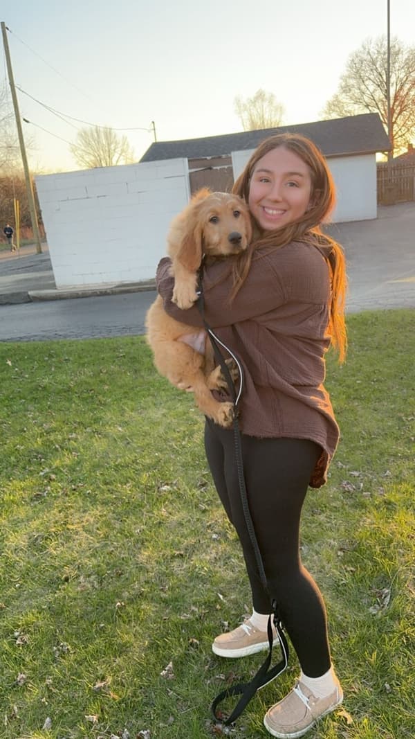 Customer photo of Goldendoodle puppy from Alyssa C.