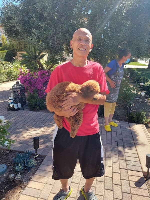 Customer photo of Poodle, Standard puppy from Weiqin Z.