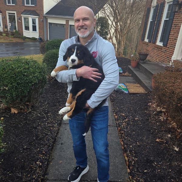 Customer photo of Bernese Mountain Dog puppy from Matthew B.