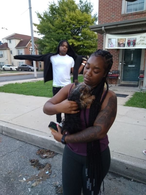 Customer photo of Yorkshire Terrier - Yorkie puppy from Delyana W.