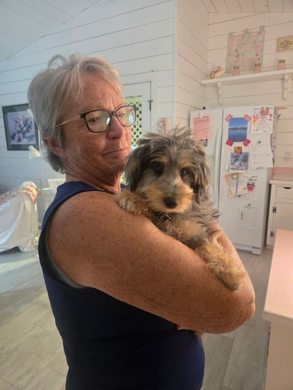 Customer photo of Mixed/Other puppy from Cheyenne B.