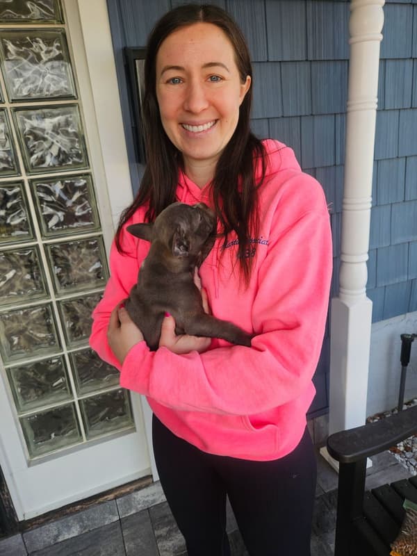 Customer photo of Frenchton puppy from Laura R.