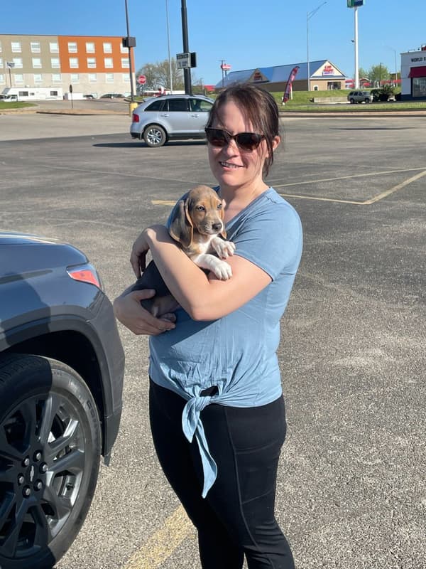 Customer photo of Beagle puppy from Brandon S.