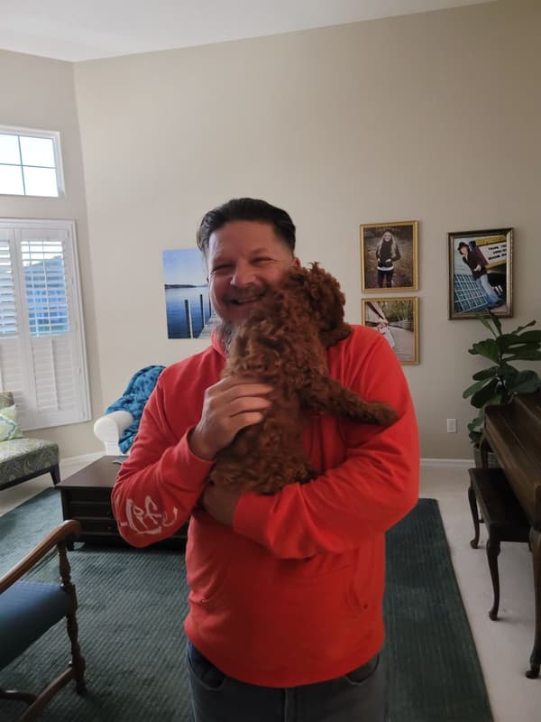 Customer photo of Poodle, Miniature puppy from Jim A.