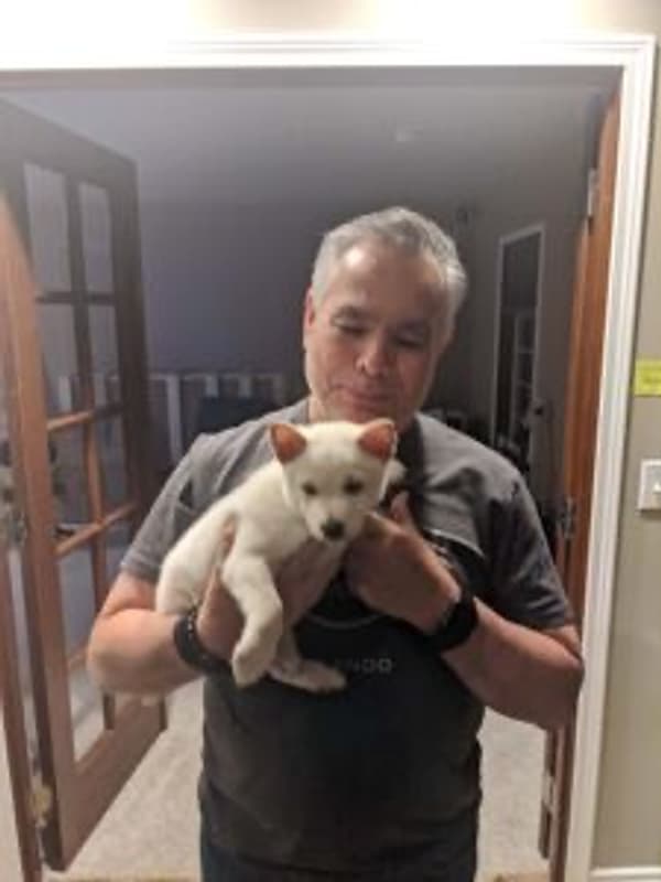 Customer photo of Shiba Inu puppy from Alfredo R.