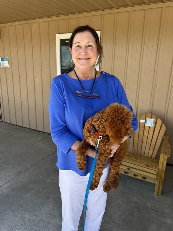 Customer photo of Poodle, Miniature puppy from Kathryn H.