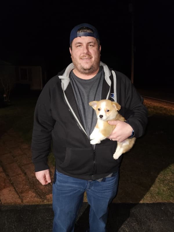 Customer photo of Corgi, Pembroke Welsh puppy from Eric K.