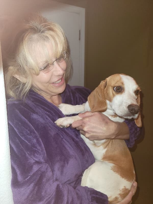 Customer photo of Beagle puppy from Debara W.