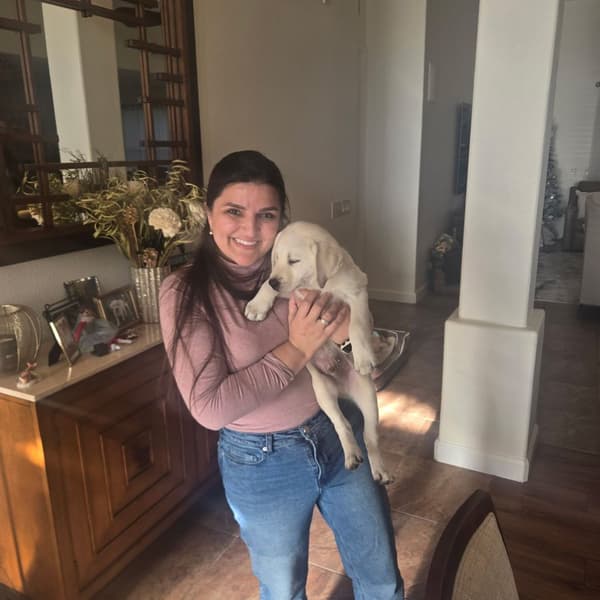 Customer photo of Labrador Retriever puppy from Maria M.