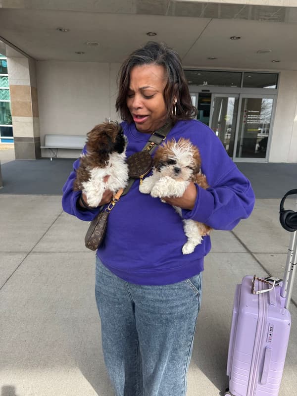 Customer photo of Shih Tzu puppy from Flora L.