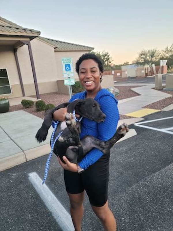 Customer photo of Great Dane puppy from Cierra C.