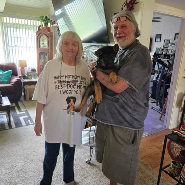 Customer photo of German Shepherd puppy from Lou N.