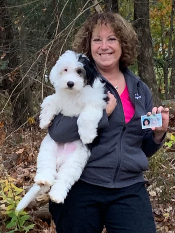 Customer photo of Sheepadoodle puppy from Deborah C.