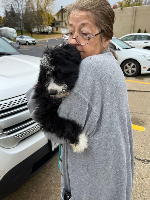 Customer photo of Bernedoodle puppy from Elizabeth A. 