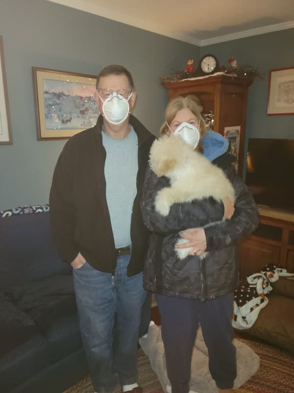 Customer photo of Bich-Poo - Bichpoo puppy from Jeanne C.