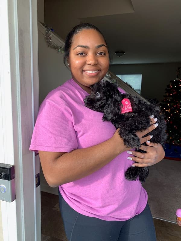 Customer photo of Cockapoo puppy from Dyana K.