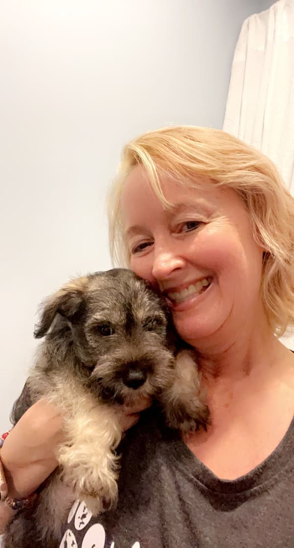 Customer photo of Schnauzer, Miniature puppy from Lisa S.