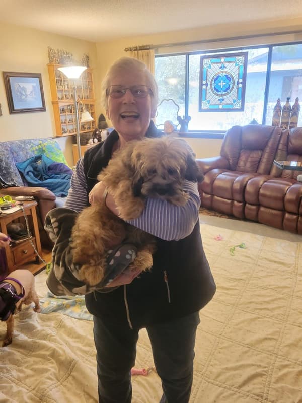 Customer photo of Cavapoo puppy from Elizabeth N.