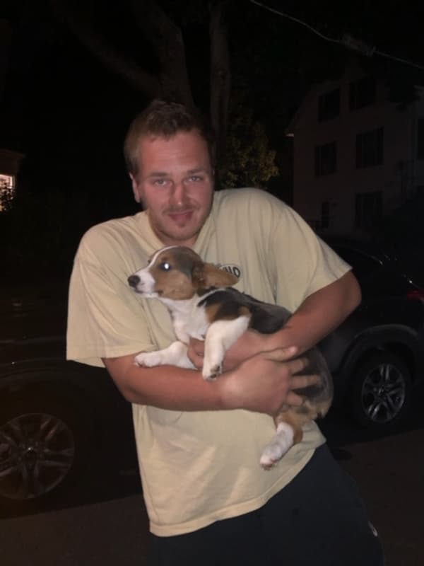 Customer photo of Corgi, Pembroke Welsh puppy from Jimmy D.