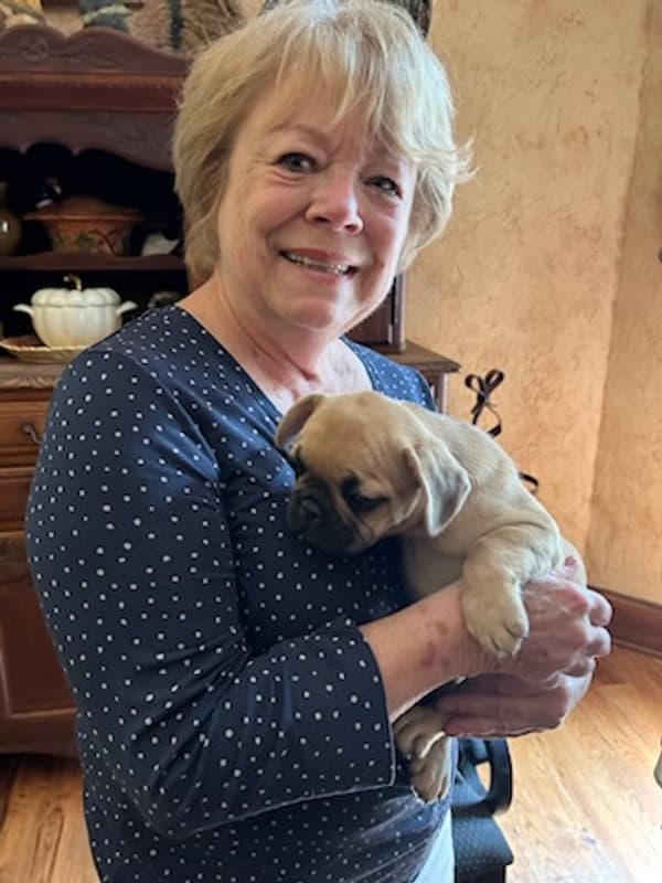 Customer photo of French Bulldog puppy from Susan I.