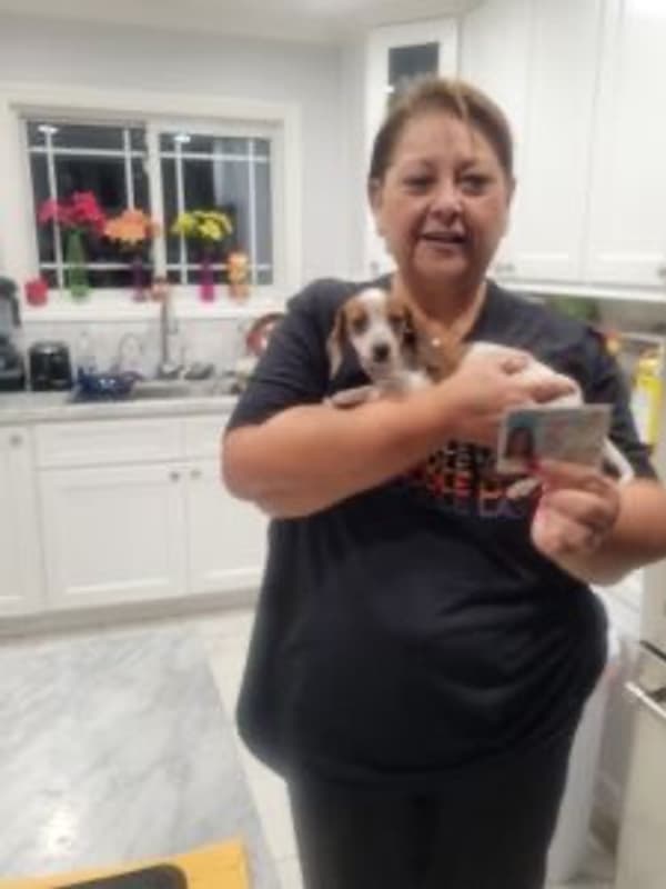Customer photo of Dachshund, Mini puppy from Adoralida P.