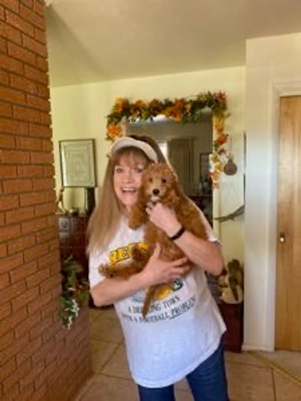 Customer photo of Goldendoodle, Mini puppy from Teri S.