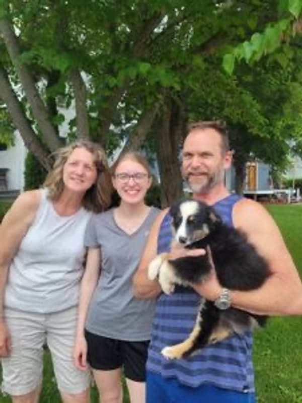 Customer photo of Australian Shepherd puppy from Kevin T.