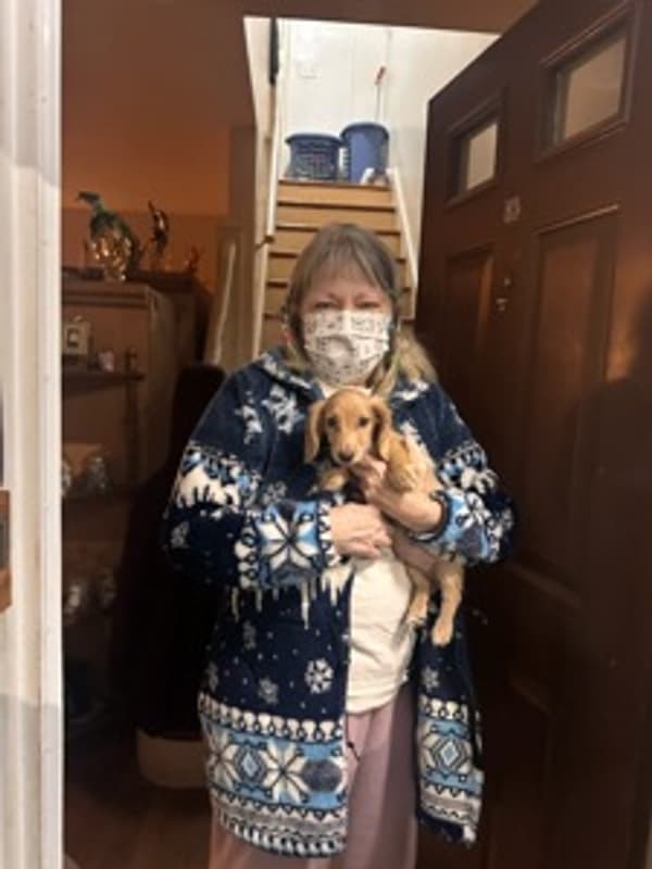 Customer photo of Dachshund, Mini puppy from Winifred H.
