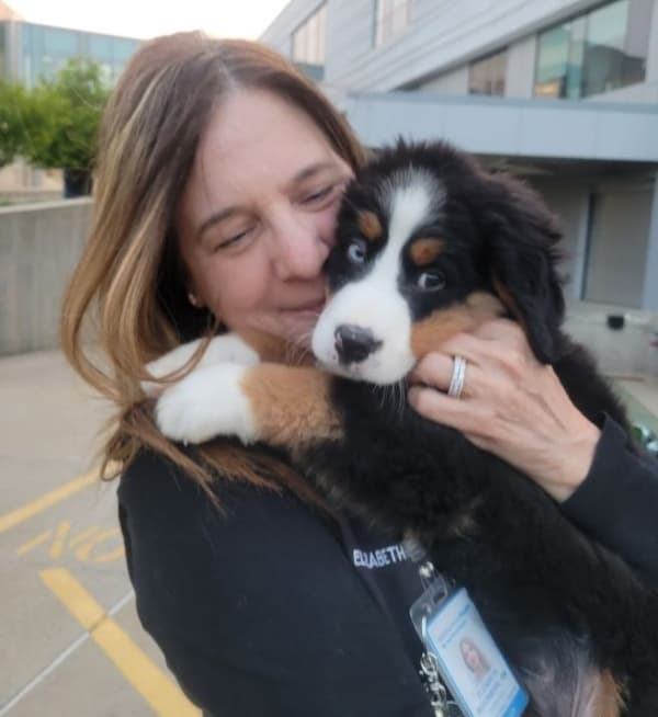 Customer photo of Bernese Mountain Dog puppy from Elizabeth R. 