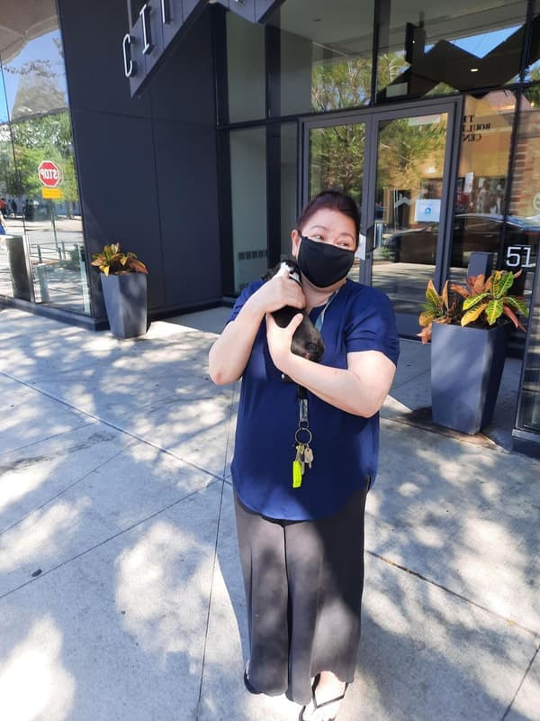 Customer photo of Boston Terrier puppy from Malynne S.