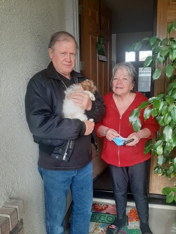 Customer photo of Cockachon puppy from Christine S.