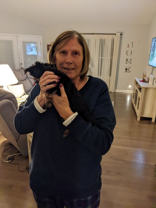 Customer photo of Yorkshire Terrier - Yorkie puppy from Donna T. 