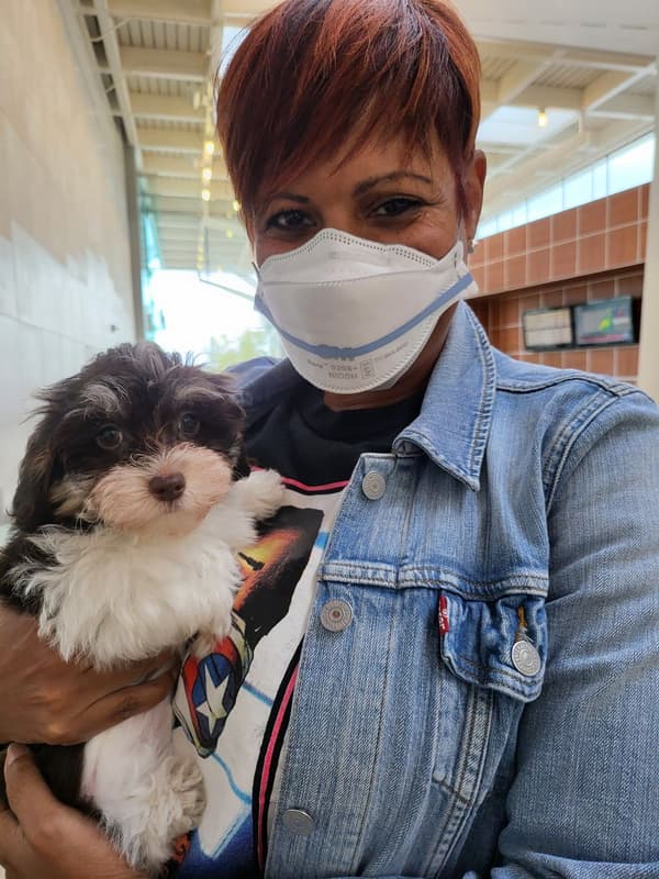 Customer photo of Havapoo puppy from Angela W.