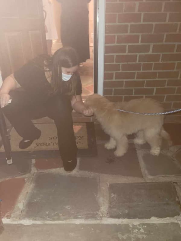 Customer photo of Mixed/Other puppy from Liimu M.