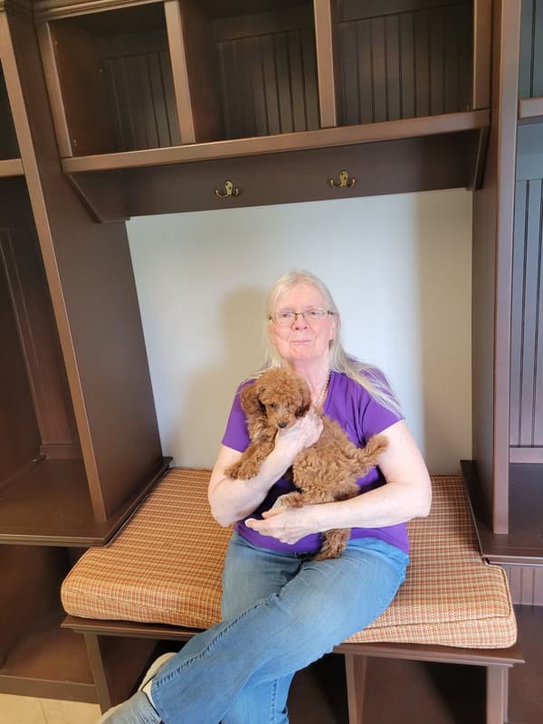Customer photo of Poodle, Miniature puppy from Catherine C.