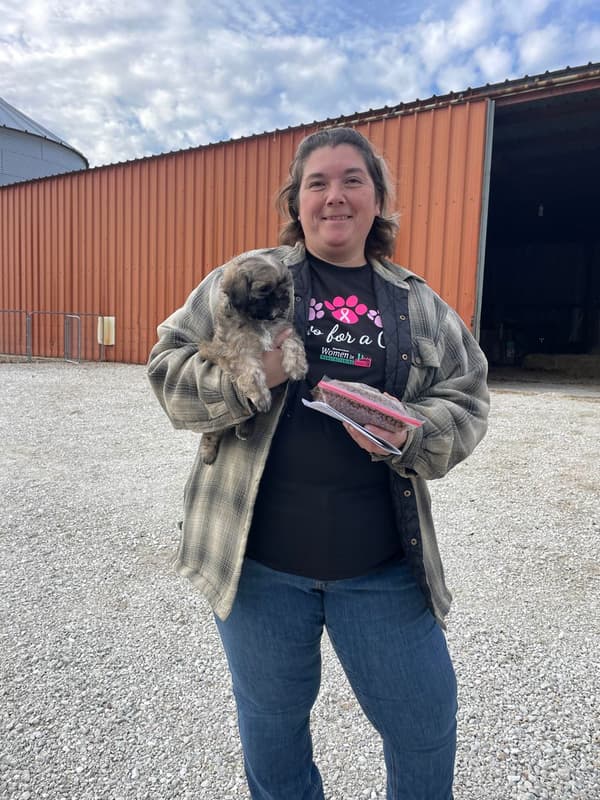 Customer photo of Shih Tzu puppy from Alexandra V.