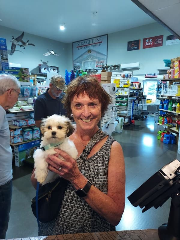 Customer photo of Shichon puppy from Jane G.