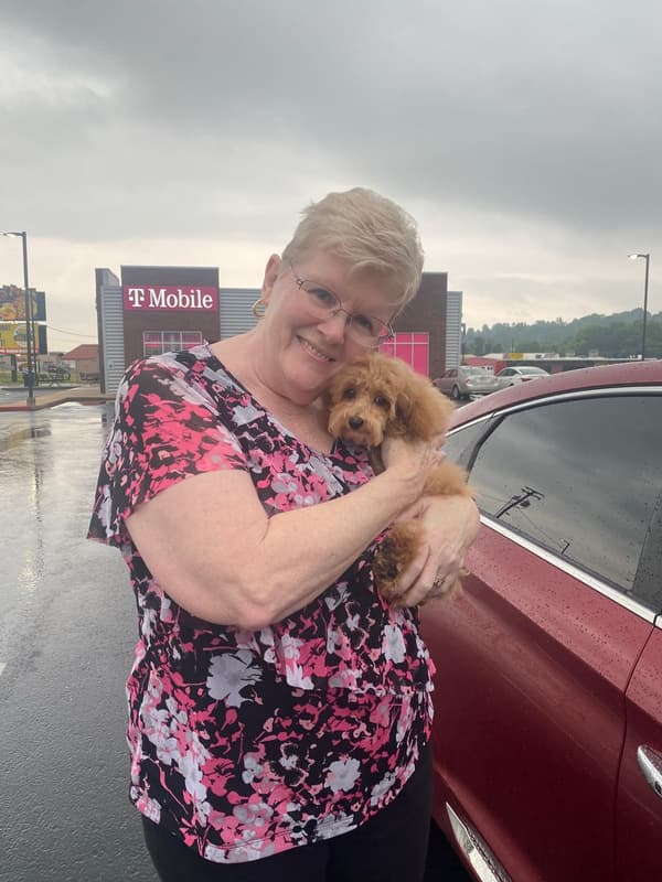 Customer photo of Malti Poo - Maltipoo puppy from Judy S.