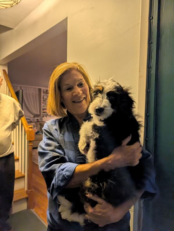 Customer photo of Bernedoodle puppy from Noreen M.