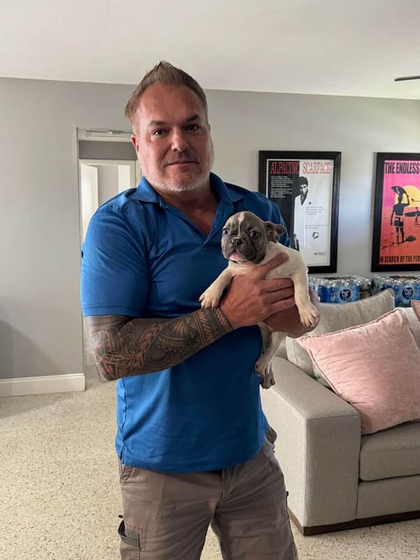 Customer photo of French Bulldog puppy from Jon M.