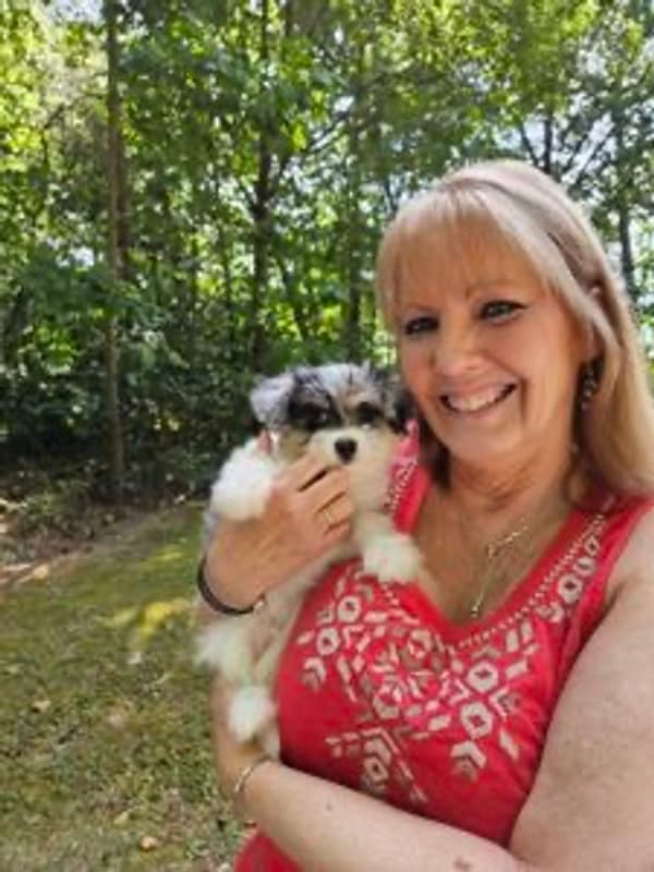 Customer photo of Malti Pom - Maltipom puppy from Stephanie G.