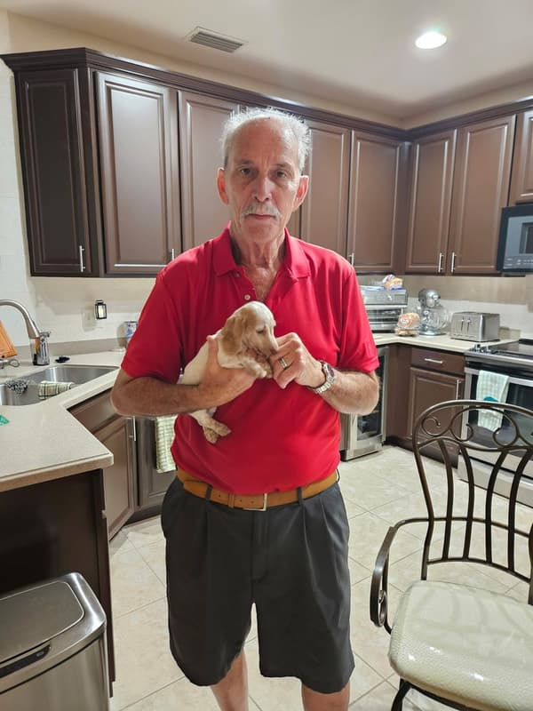 Customer photo of Dachshund, Mini puppy from Dale S.