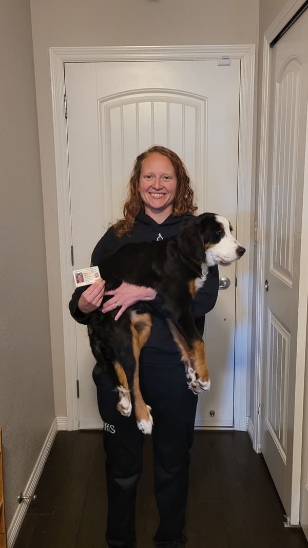 Customer photo of Bernese Mountain Dog puppy from Karli K.