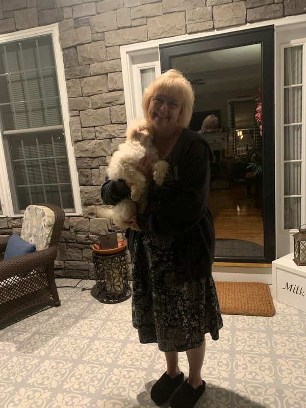 Customer photo of Labradoodle puppy from Gail Q.