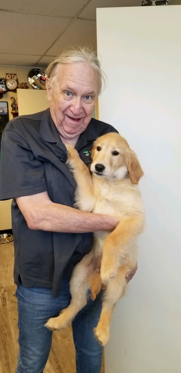Customer photo of Golden Retriever puppy from Ash D.