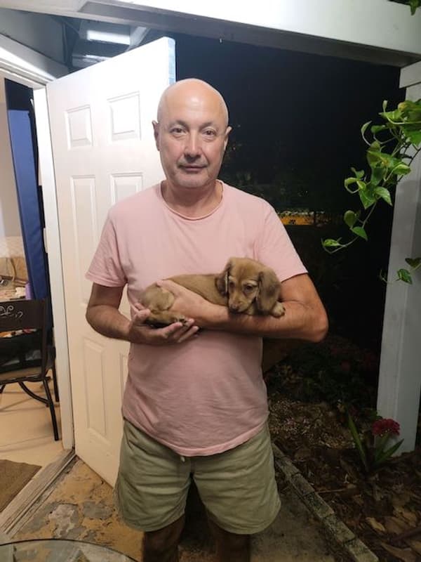 Customer photo of Dachshund, Mini puppy from Jose C.