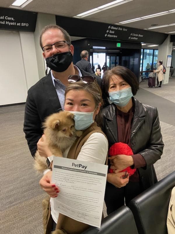 Customer photo of Pomeranian puppy from Karyn N.