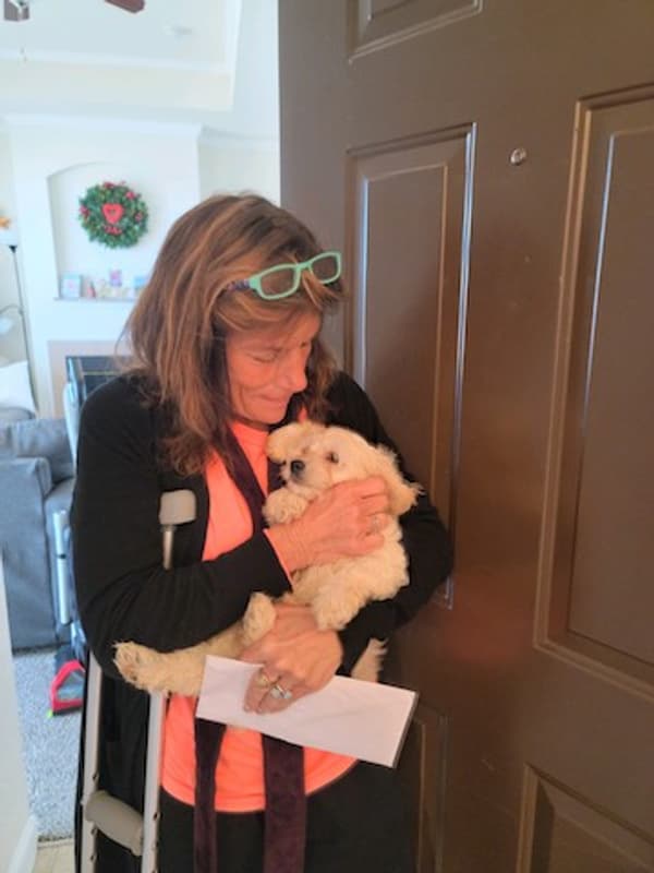 Customer photo of Cockapoo puppy from Naomi L.