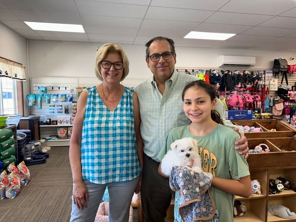 Customer photo of Maltese puppy from Kimberly P.